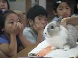 学校飼育動物支援活動1